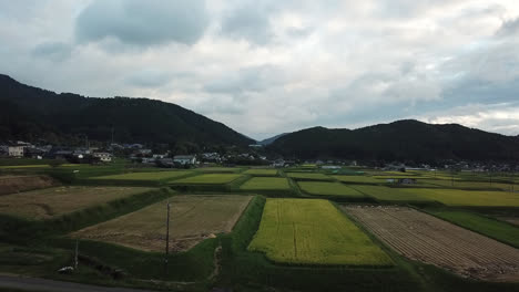 Campos-De-Arroz-De-Sake-En-Las-Zonas-Rurales-De-Japón