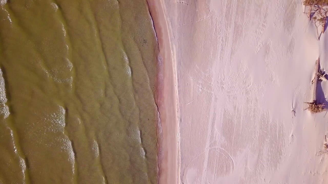 Aerial birdseye view of Baltic sea coast on a sunny day, steep seashore dunes damaged by waves, broken pine trees, coastal erosion, climate changes, wide angle drone shot moving forward