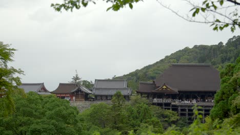 kiyomizu dera temple shrine shinto buddhist at kyoto japan on a rainy day view from forest