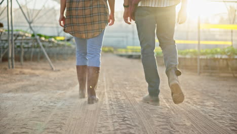 farmers walking through a greenhouse
