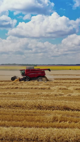 Red combine harvester working on the field at seasonal works. Agricultural machine cutting blades of wheat in the countryside under the blue sky. Camera moves back. Vertical video