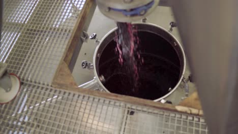 crushed grapes falling into a stainless steel wine tank, fermentation process