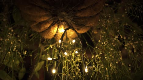 close up of fairy lights hanging from the ceiling at night