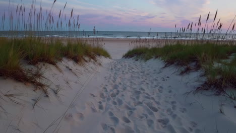 sandy path leading to a peaceful beach at dusk
