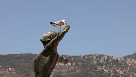 a seagull rests on a statue's head