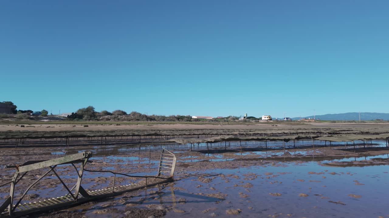오스트리 농장은 푸른 하늘 아래 포르투갈의 진 을 가로질러 펼쳐져 해안의 아름다움을 반영합니다.