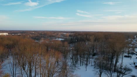 an aerial view of an enormous field with bare trees and reed in a snow covered winter marsh landscape