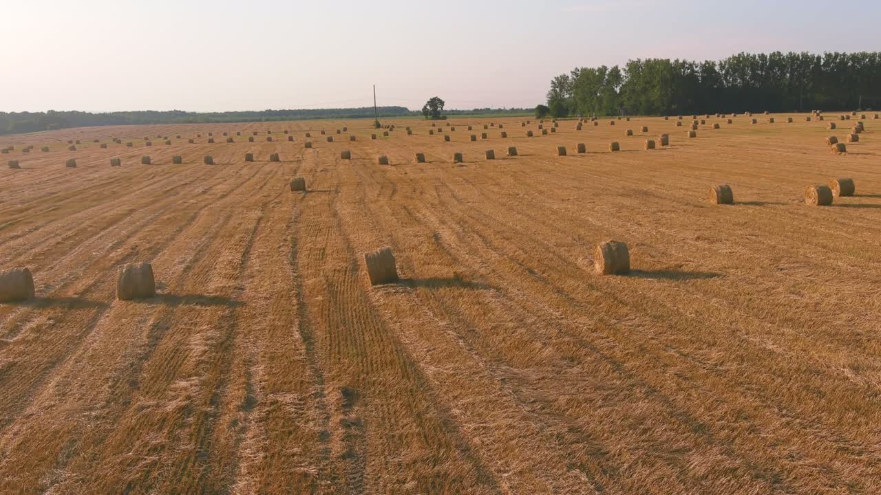Batan güneşin önünde saman balyalarıyla kırsal doğa manzarası. Buğday hasadı, saman balyası.