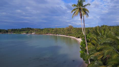 Empty-beach-with-a-palm-tree