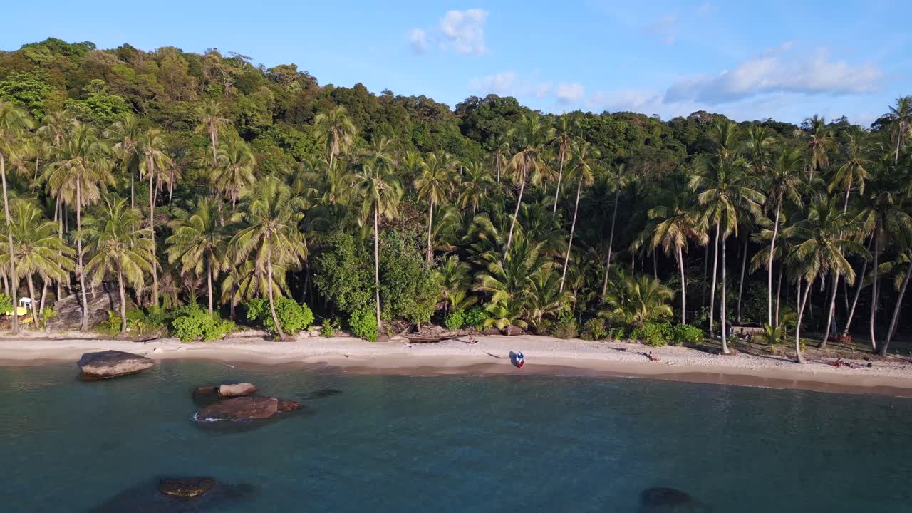 canoa en una playa solitaria bajo palmeras