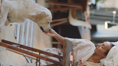 woman feeding her golden retriever