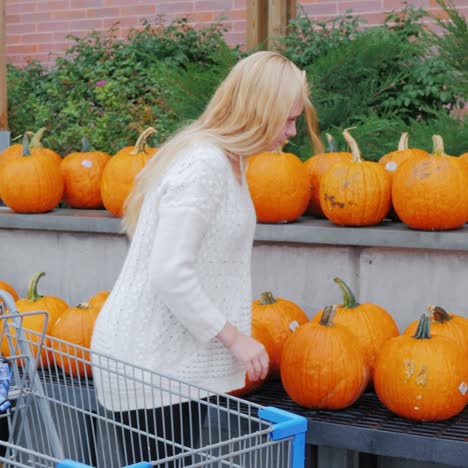 festive shopping - a young woman chooses a pumpkin for halloween 1