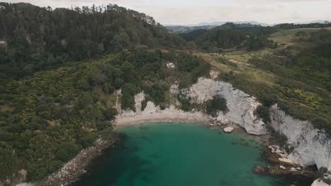 coastal bay with lush forest and cliffs