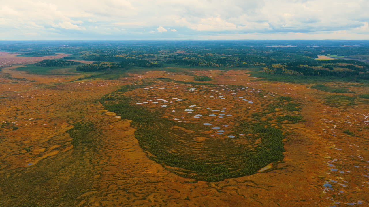 Aerial view orbiting large marshlands during peak foliage, fall day in Finland