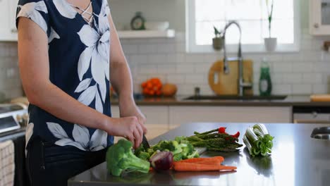 Woman-chopping-vegetable-in-kitchen-at-home-4k