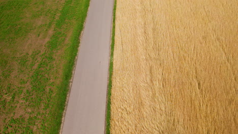 Empty-stretch-of-local-asphalt-road-between-mature-fields-and-a-green-meadow