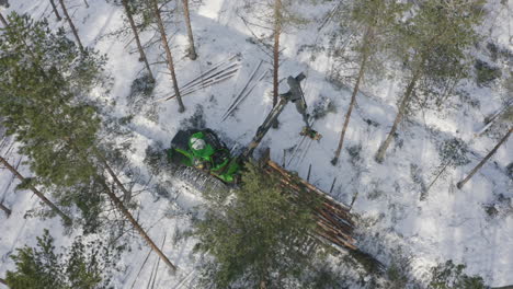 La-Máquina-Forestal-Está-Recogiendo-Troncos-En-El-Bosque-De-Pinos