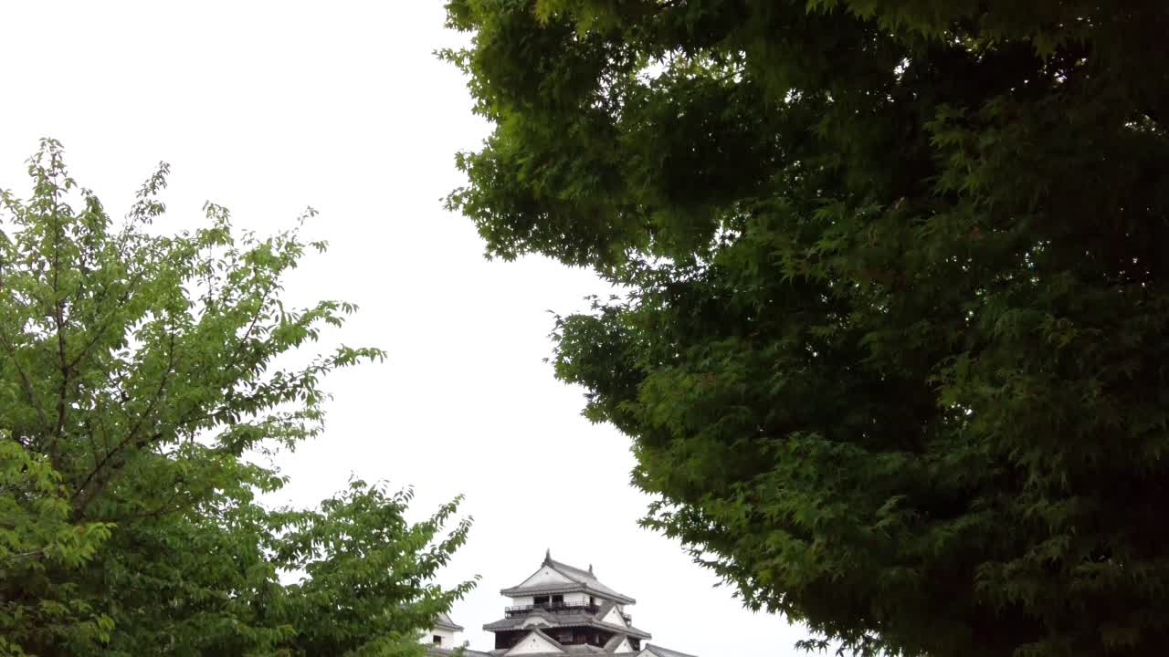 la belleza del castillo de matsuyama