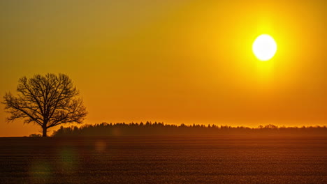 De-Cerca-Amanecer-Lapso-De-Tiempo-Naturaleza-Esperanza-Inicio-Del-Día-Hermoso-Cielo-Dorado