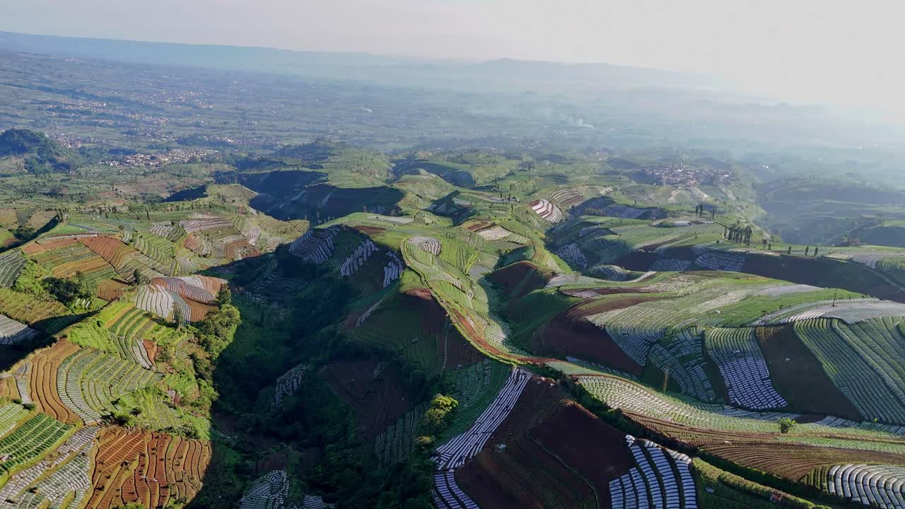 Aerial view of large agricultural field on highland, Indonesia.