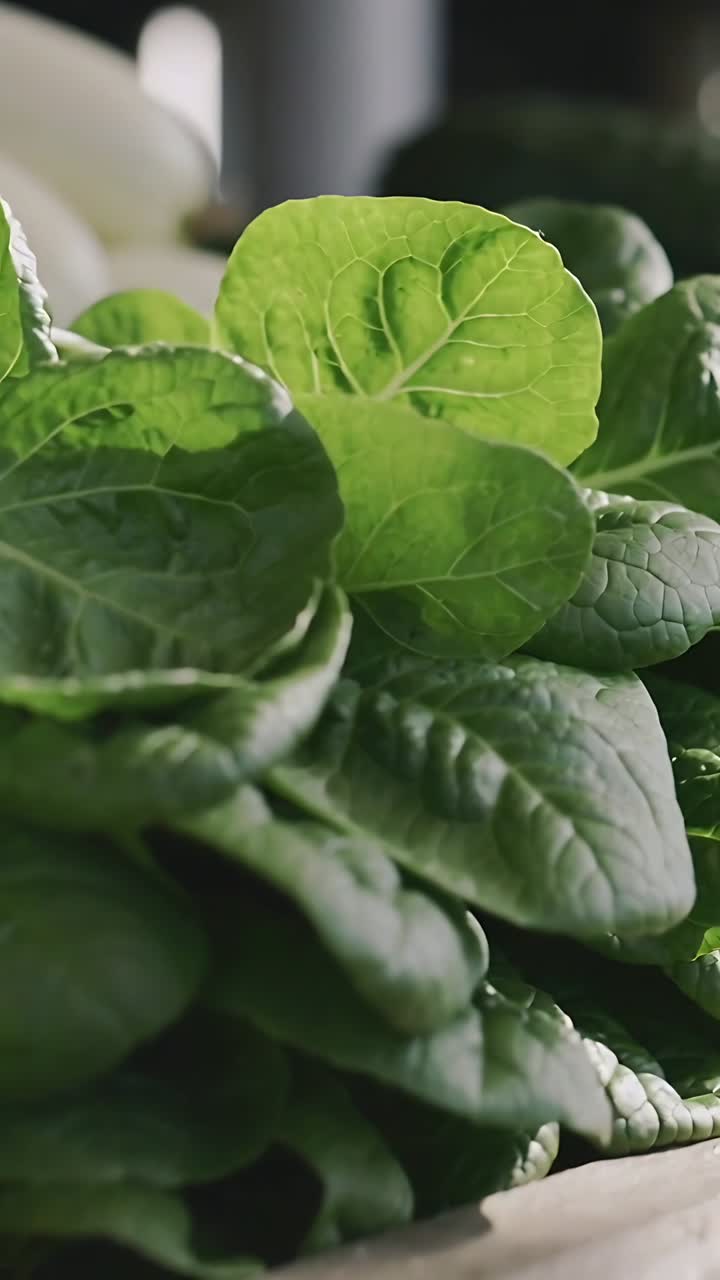 Video verticale: Telecamera che panoramica rivelando verdure a foglia in una cassa al mercato, mostrando i dettagli delle venature.