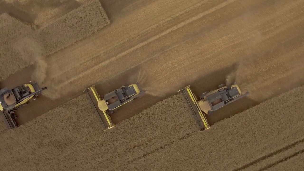 vista en espiral de arriba hacia abajo de un grupo de cosechadores combinados recogiendo trigo durante la temporada de cosecha en un campo polvoriento