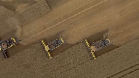 vista en espiral de arriba hacia abajo de un grupo de cosechadores combinados recogiendo trigo durante la temporada de cosecha en un campo polvoriento