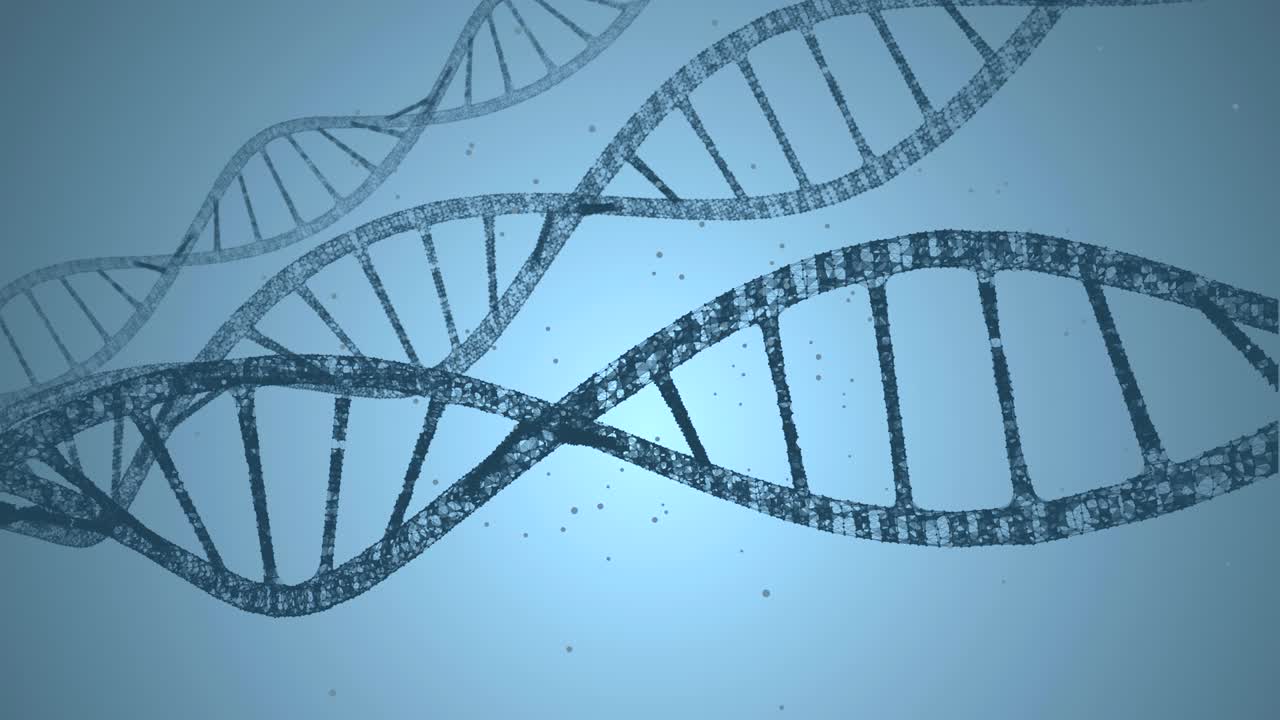 adn y plexo en un fondo azul. animación de bucle