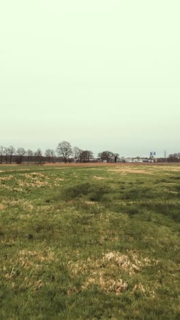 rural dutch landscape