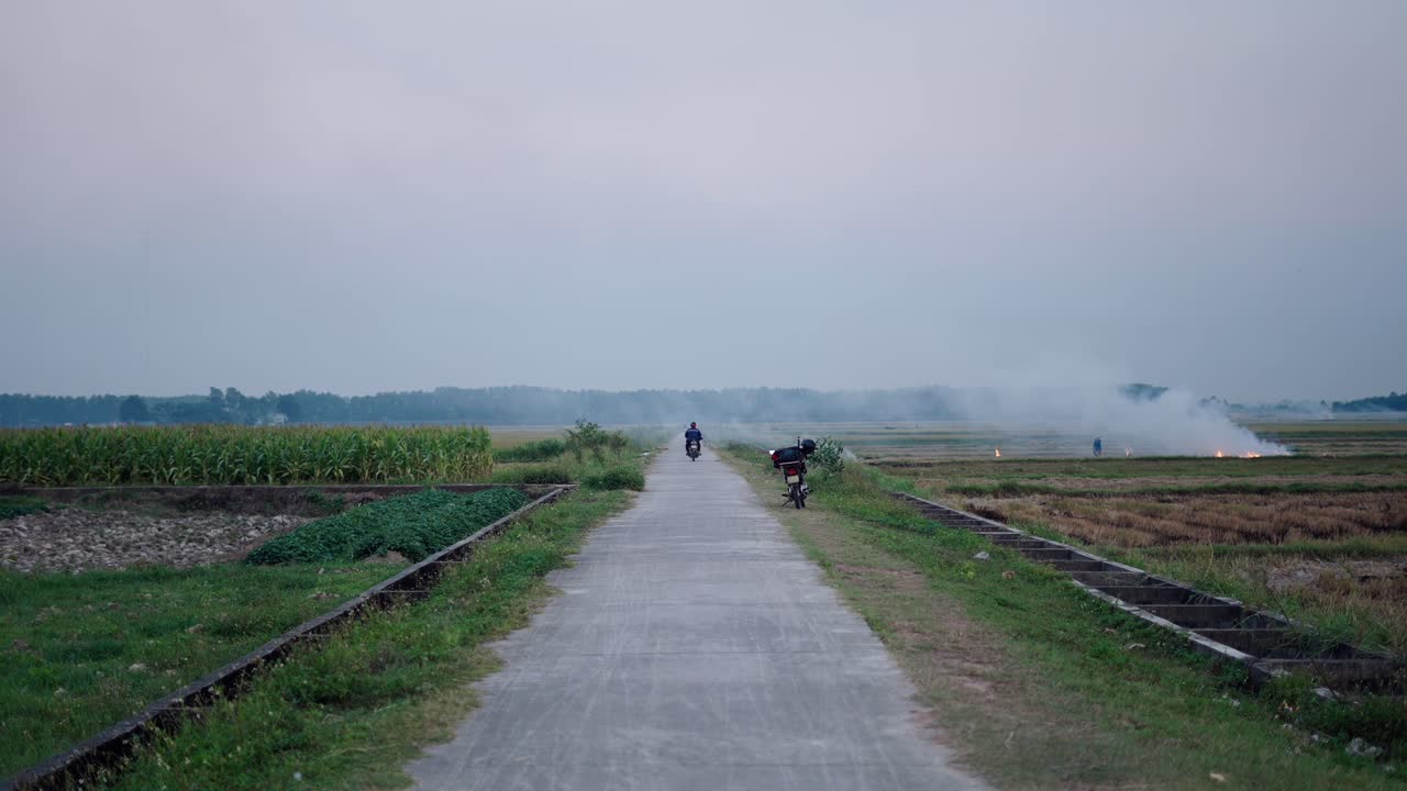 Rural Road Through Rice Fields