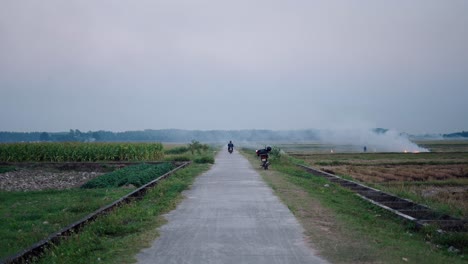 rural road through rice fields