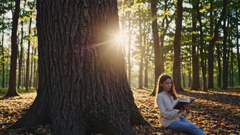 a serene video scene with a low-angle shot of a large tree trunk in a sunlit forest