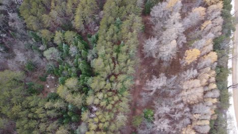 aerial flyover of beautiful forest landscape lined by farmland and road