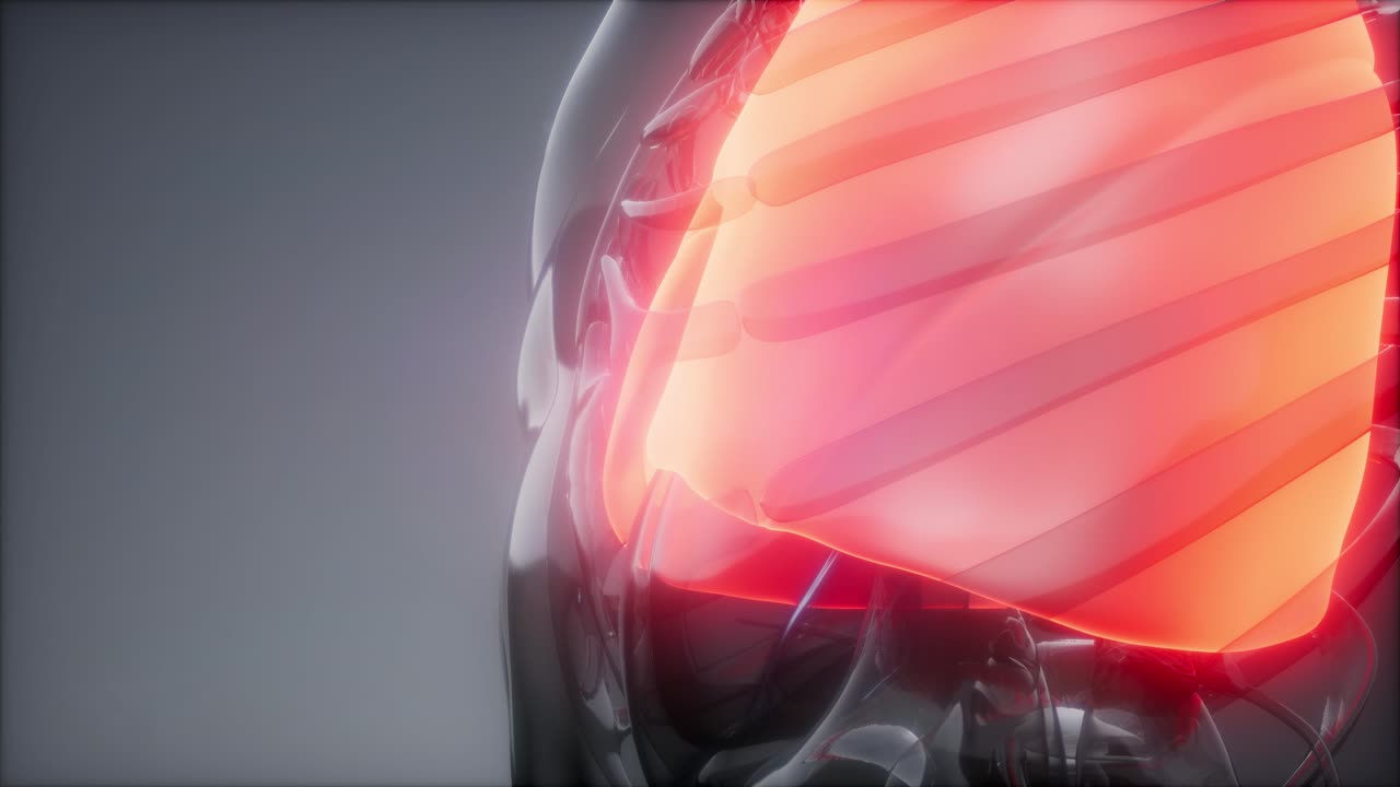 인간의 폐 방사선 검사