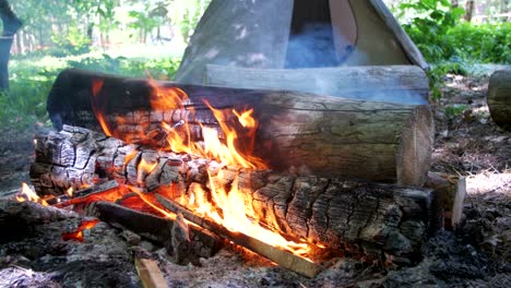 hoguera en el campamento en medio de una tienda y troncos en el bosque