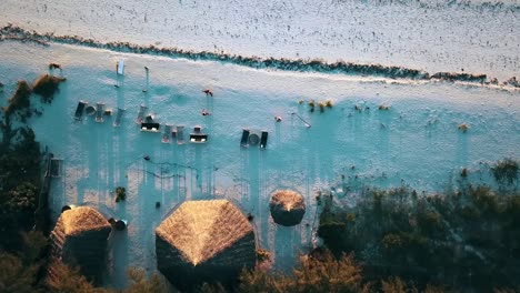 wonderful bird's eye view top view slowly sinking down drone shot to a beach bar paradise film shot on zanzibar at africa tanzania in 2019 cinematic nature aerial filmed in 1080 60p by philipp marnitz