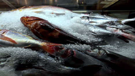 fresh fish for sale at the local market: a taste of crete’s culinary delights