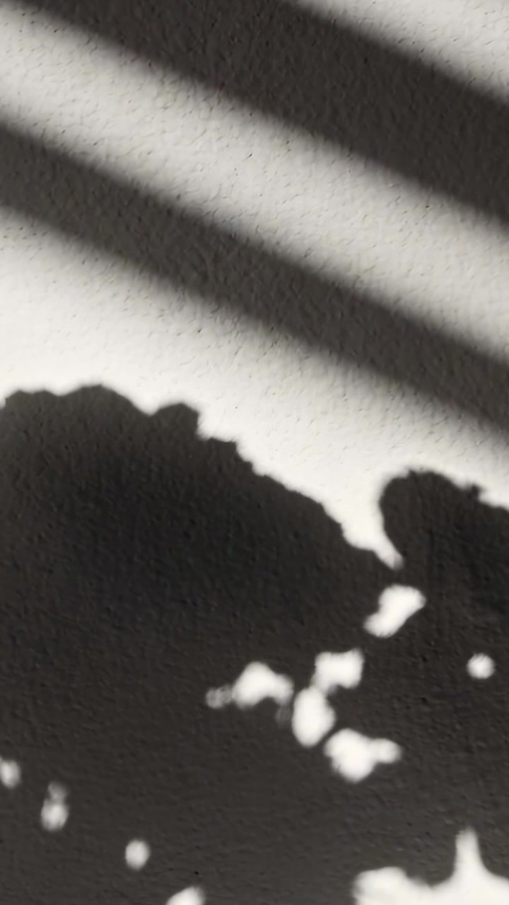 Video vertical: Sombra de planta moviéndose, proyectando líneas en la pared de una habitación mientras el sol se desplaza a través de las persianas.
