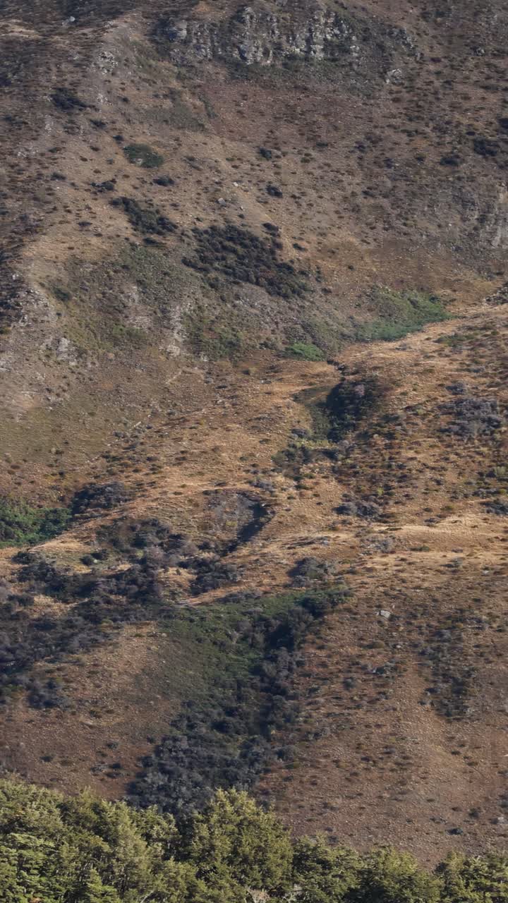 Un sereno paesaggio montano con nebbia che si estende sulle colline a Queenstown, Nuova Zelanda. Catturato con luce naturale.