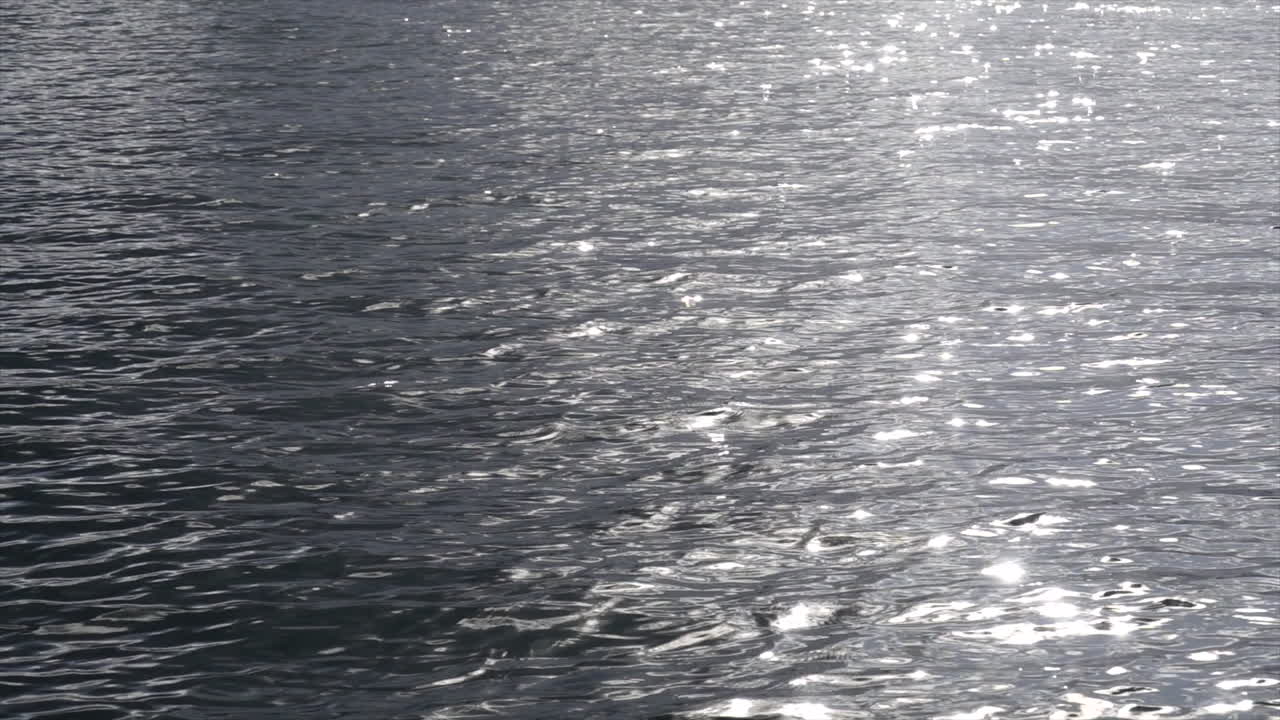 サンフアン諸島付近で水面に太陽が反射し、美しい光景を作り出している。