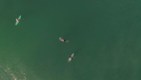 aerial cenital shot of a surfers waiting in zicatela beach puerto escondido, oaxaca