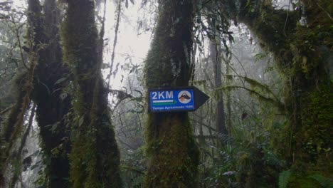 tungurahua volcano direction sign ecuador jungle humid forest trek hike