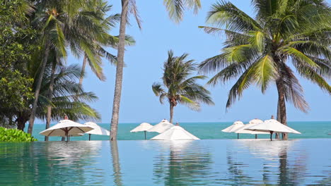 infinity pool, white parasols, green tropical trees and blue sea horizon, luxury vacation scene