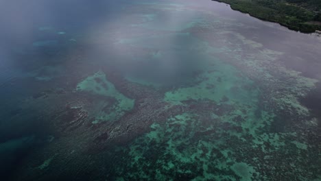aerial forward view the reef in its beauty. philippines
