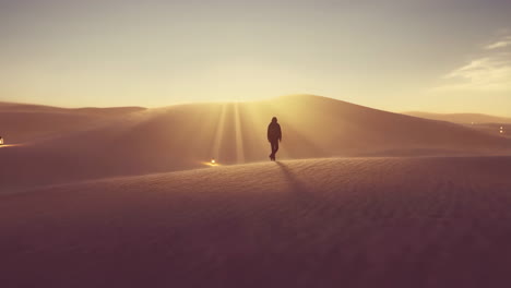 a lone figure stands in a vast desert landscape at sunset