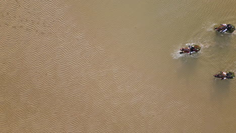 horses with horseback rider crossing seawater on beach - top down aerial