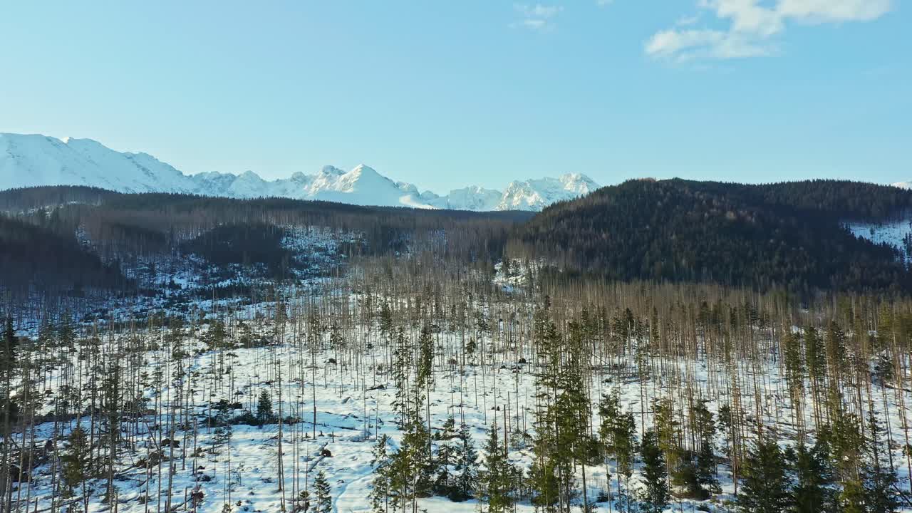 cordillera nevada de tatry en la frontera entre polonia y eslovaquia