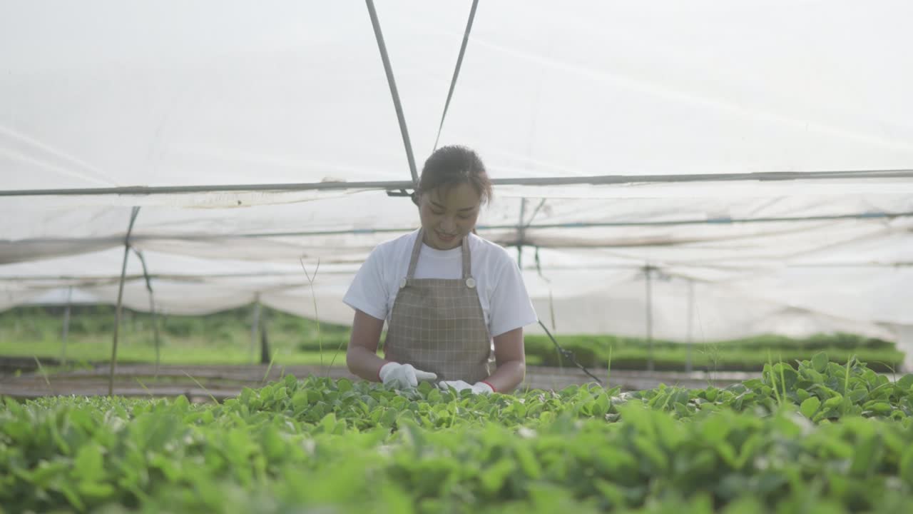 아름다운 젊은 여성이 고 심기를 확인하고 있습니다.