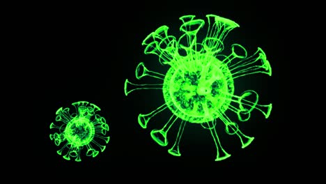 green glowing holographic image of coronavirus like covid-19 virus or influenza virus flies in air or float smoothly on black background. 3d animation in 4k looped. for informational presentation.