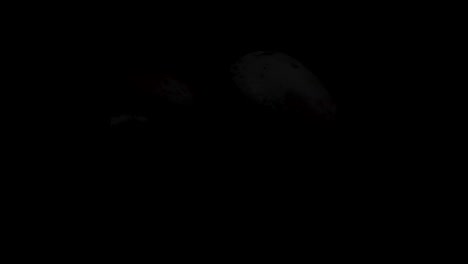 dos setas en un fondo oscuro